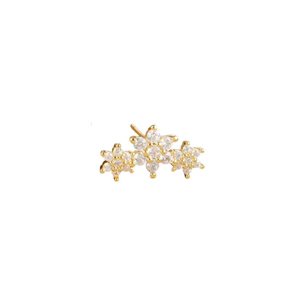 Royal Blossom